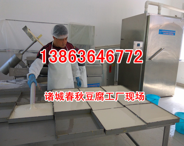 千頁豆腐加工設備，普英千頁豆腐生產制造機器