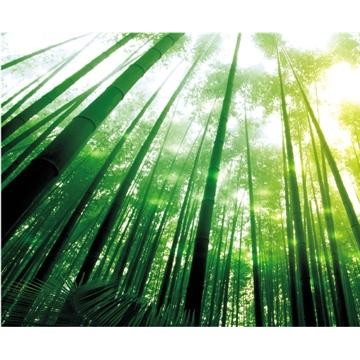 2018中國西部智慧林業裝備展覽會