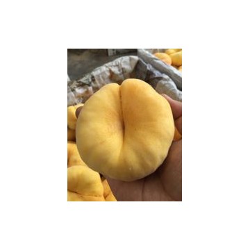 黃金蜜毛桃價格-陜西紙袋黃金蜜毛桃產地上市價格