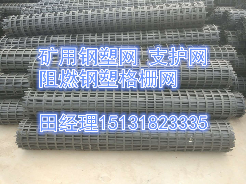 供應森旺5.55.5cm礦用鋼塑復合網