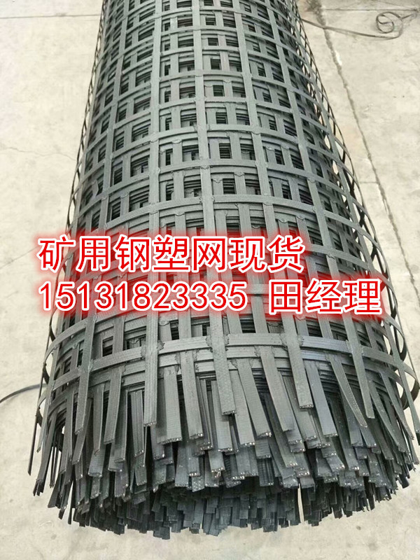 礦用塑料網_礦用鋼塑網_阻燃格柵廠家現貨