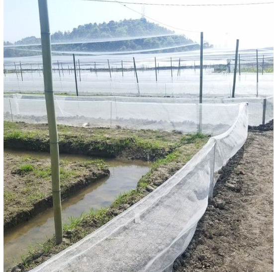 抗老化青蛙養殖圍網質量好耐用全新料耐日曬好圍網工廠直發