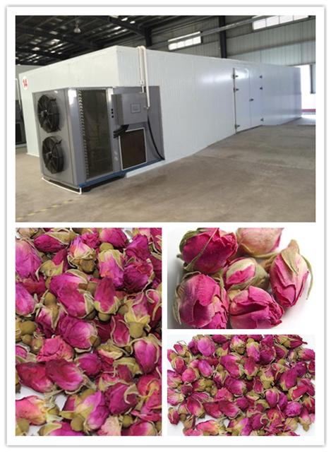 玫瑰花烘干機循環排濕烘干形狀飽滿藥效高整朵造型完整美觀