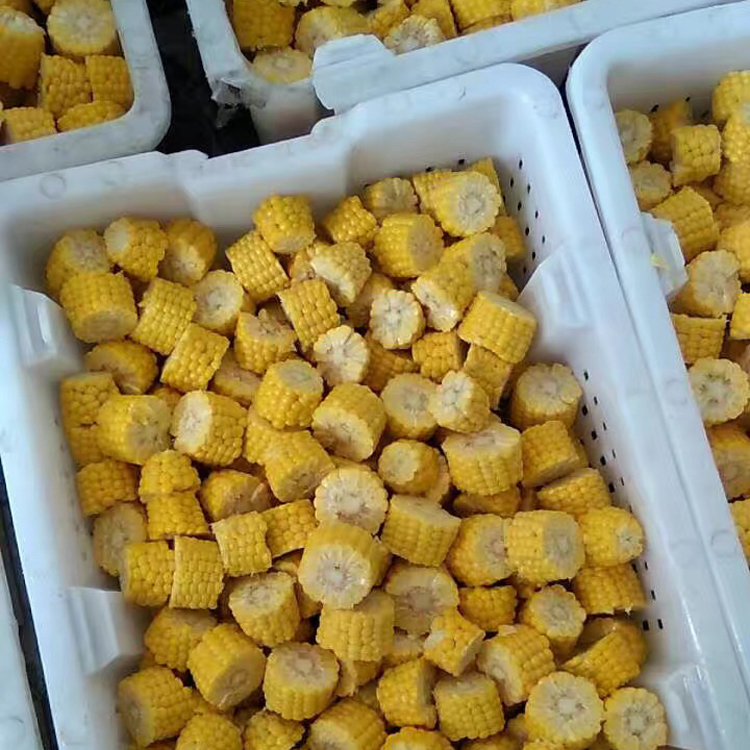肯德基快餐店用玉米段加工設備？