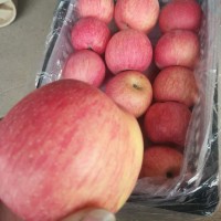 陜西冷庫紅富士蘋果價格，冷庫紙袋紅富士蘋果產地行情