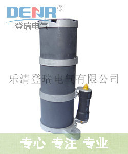 登瑞lxq_產品,RXQ_20D消諧裝置