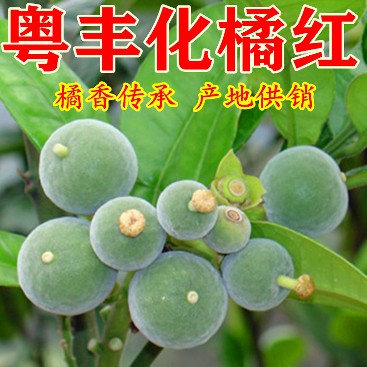 北京上海天津山東山西浙江黑龍江吉林化州橘紅
