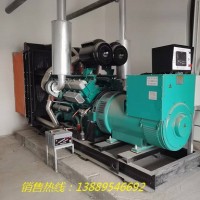 大連康沃達柴油發電機組